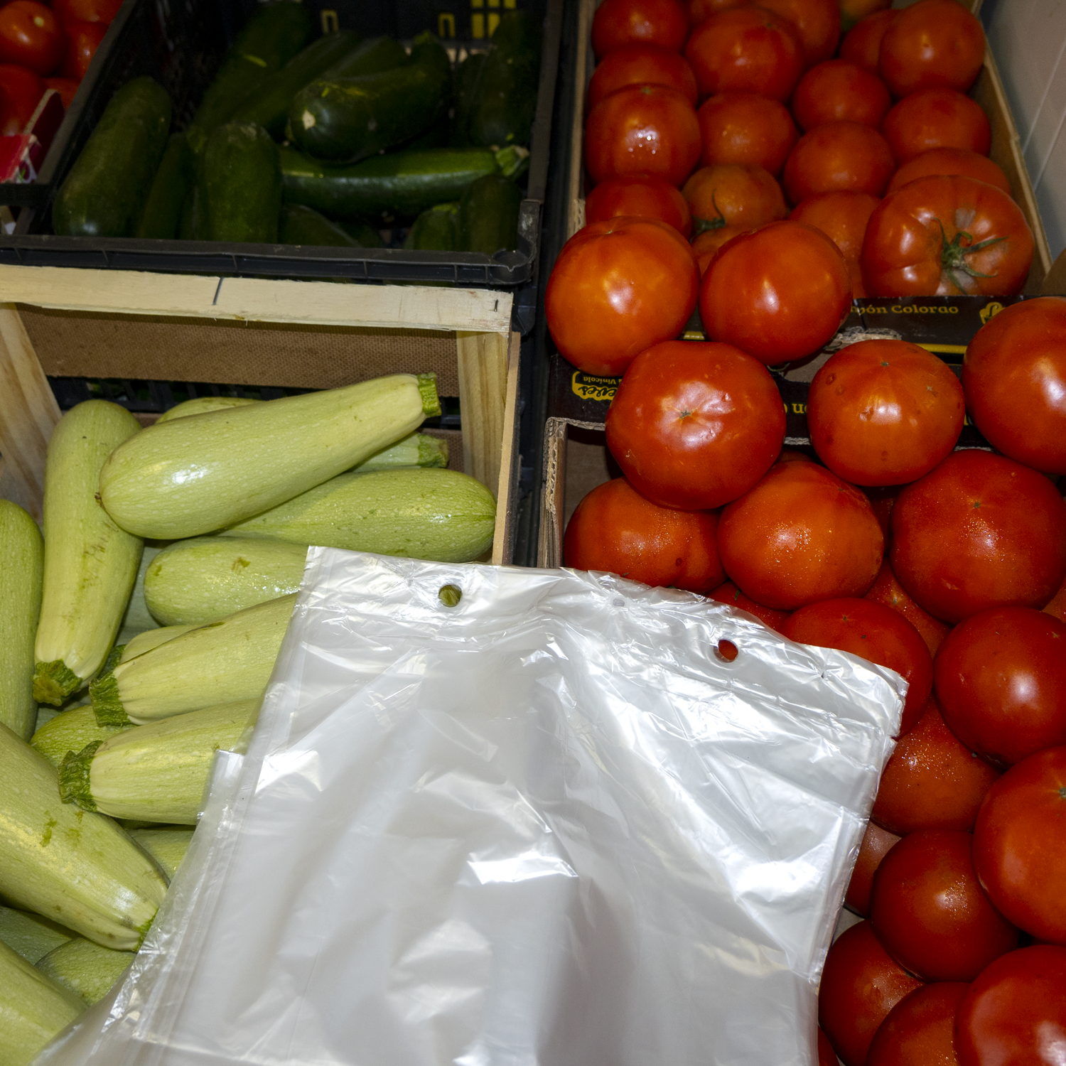 Bolsas de Plástico en Block | 25x30 cm | Translúcidas para Frutería, Carnicería y Uso Alimentario